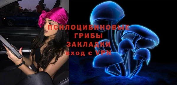 индика Алексин