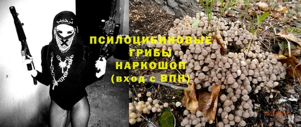 индика Алексин
