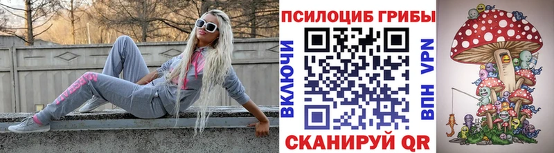 Псилоцибиновые грибы мицелий Межгорье
